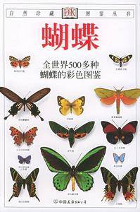 蝴蝶与蛾--自然珍藏图鉴丛书