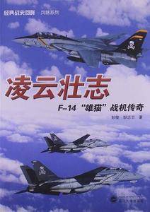 凌云壮志——F－14“雄猫”战机传奇