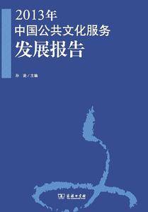 2013年中国公共文化服务发展报告