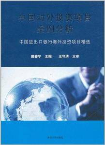 中国对外投资项目案例分析
