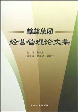 峰峰集团经营管理论文集