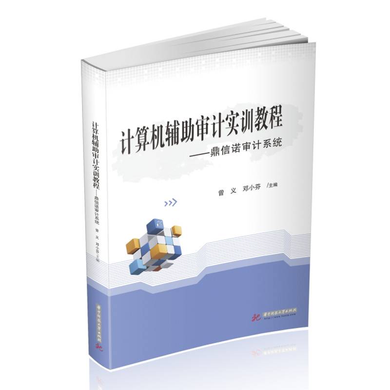 计算机辅助审计实训教程——鼎信诺审计系统