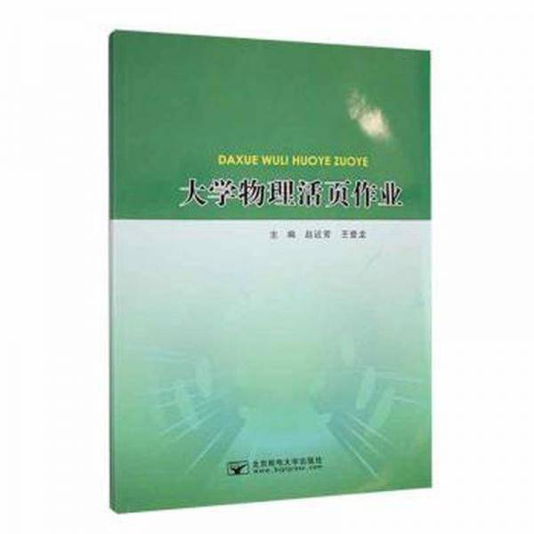 大学物理活页作业 大中专理科数理化 赵近芳，王登龙主编