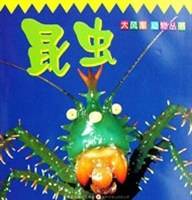 狼  大风车.动物丛书