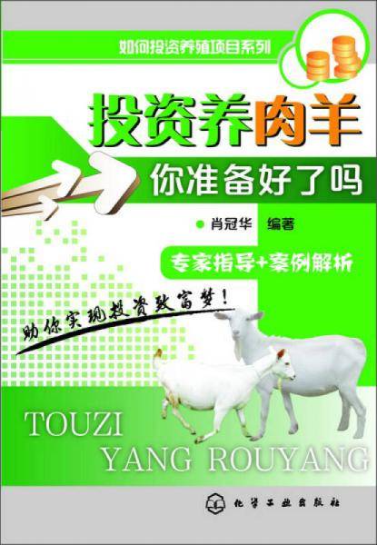 投资养肉羊
