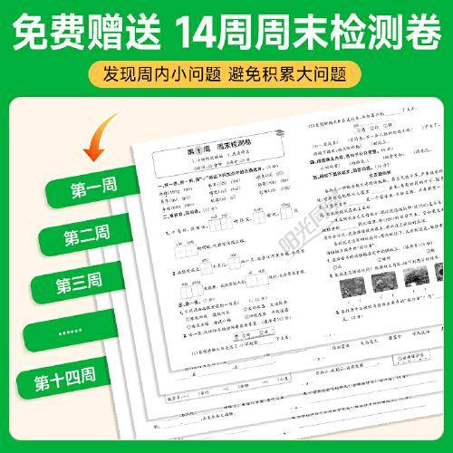 2025秋阳光同学提优新卷二年级语文人教版上册试卷测试卷小学2年级单元期中末试卷练习册题
