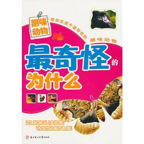 最奇怪的为什么