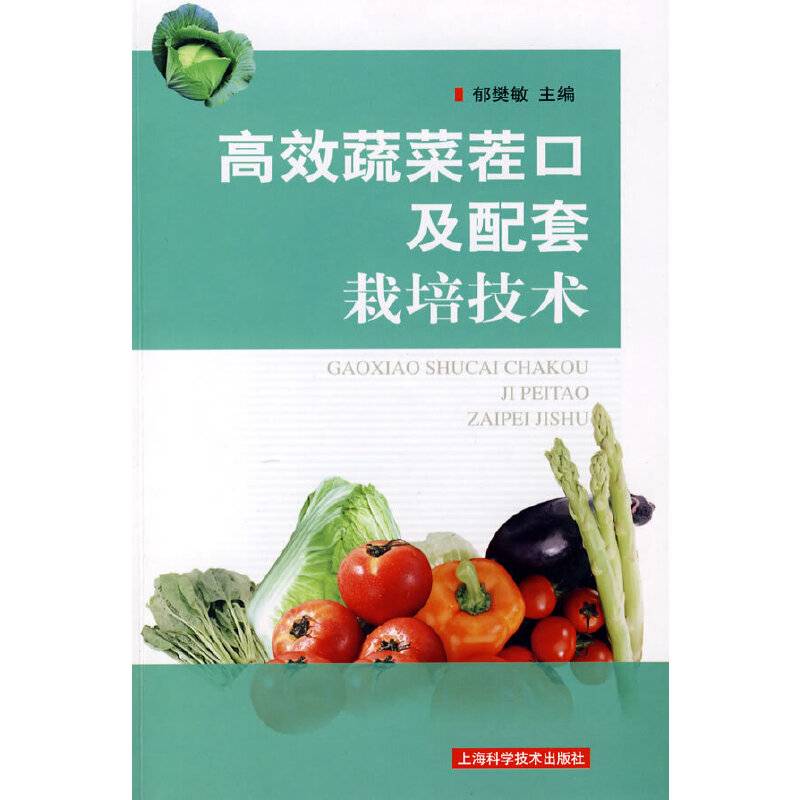 高效蔬菜茬口及配套栽培技术