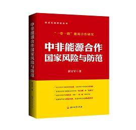 中非能源合作国家风险与防范