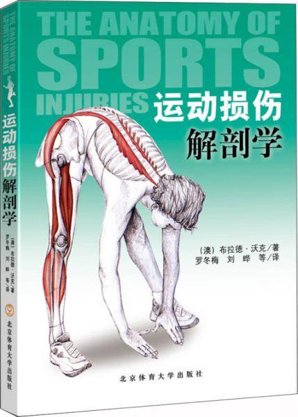 运动损伤解剖学