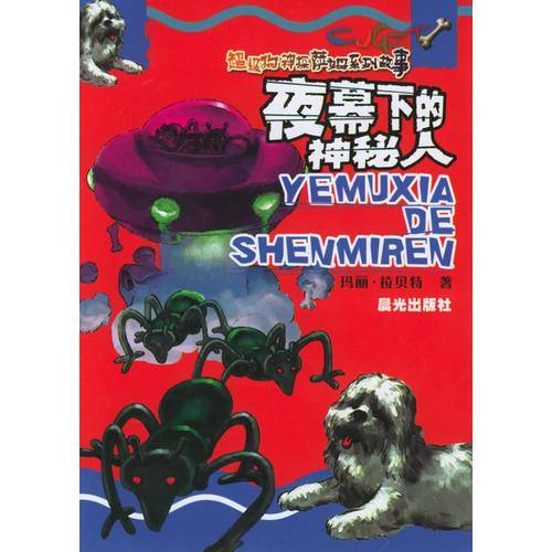 夜幕下的神秘人