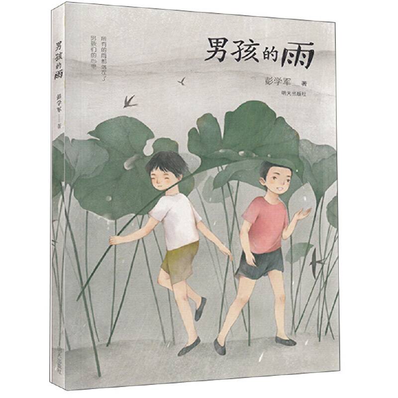 男孩的雨