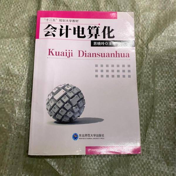 会计电算化