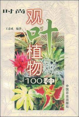 时尚观叶植物100种