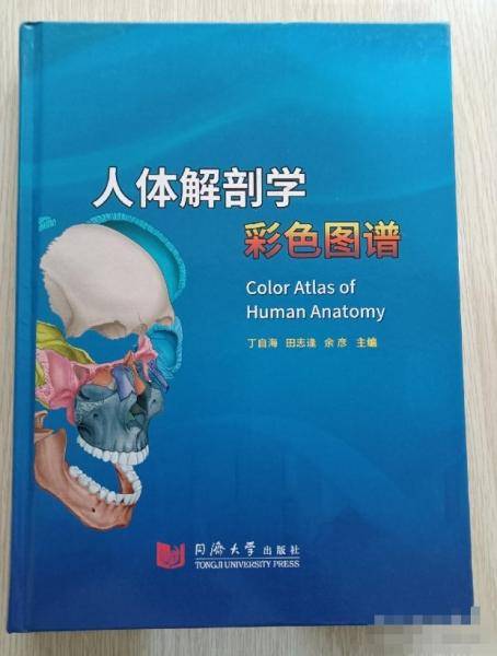 人体解剖学彩色图谱