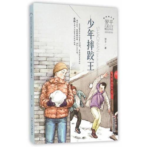 翌平儿童文学精品书系：少年摔跤王