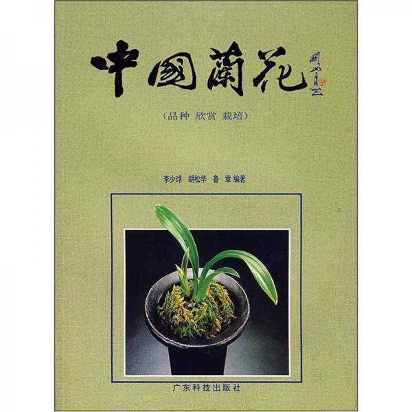 中国兰花