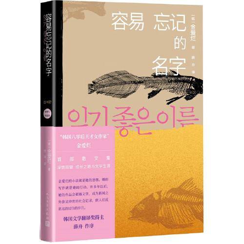容易忘记的名字（金爱烂作品集）