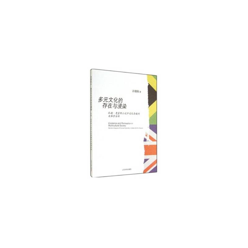 多元文化的存在与浸染：扎迪・史密斯小说中文化杂糅的文体学分析