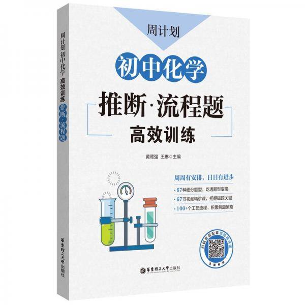 周计划 初中化学高效训练