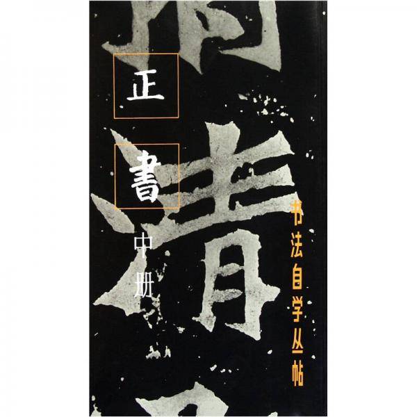 正书（中册）