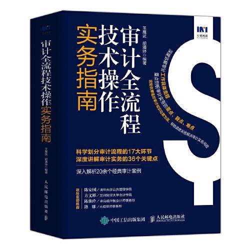 审计全流程技术操作实务指南