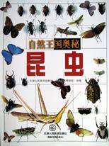 昆虫
