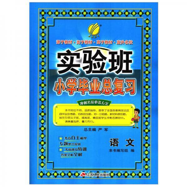 实验班小学毕业总复习语文小学