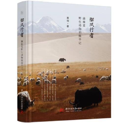 御风行者——油麻菜野生动物拍摄手记