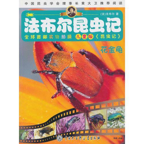 花金龟-法布尔昆虫记