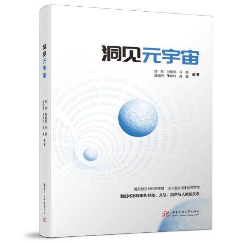洞见元宇宙