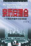 亲历安理会