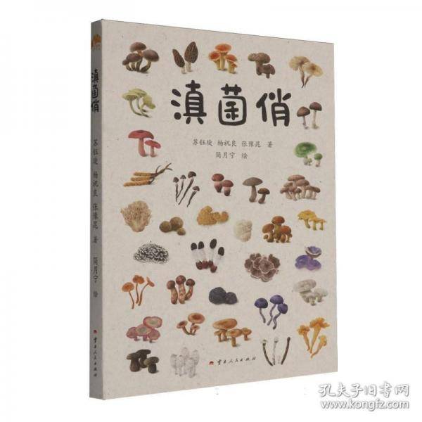 滇菌俏