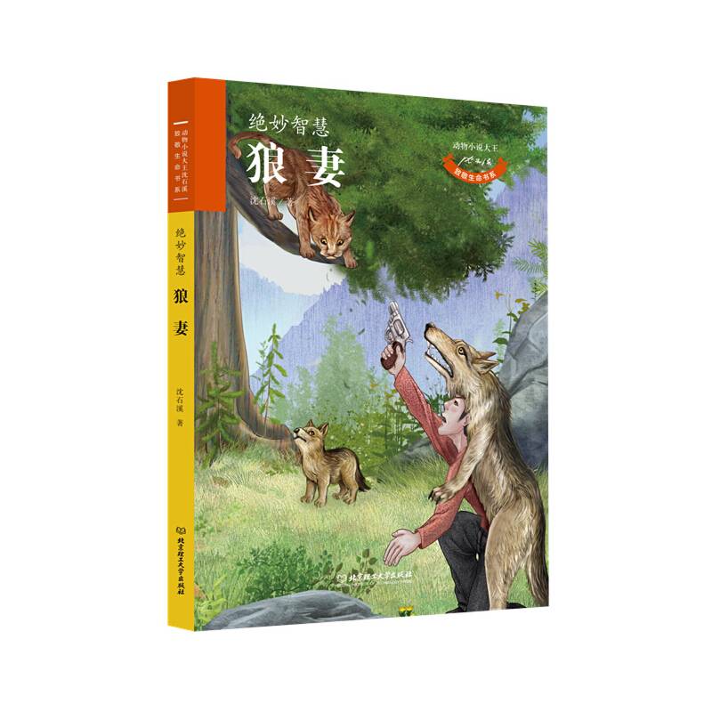 动物小说大王沈石溪・致敬生命书系――狼妻
