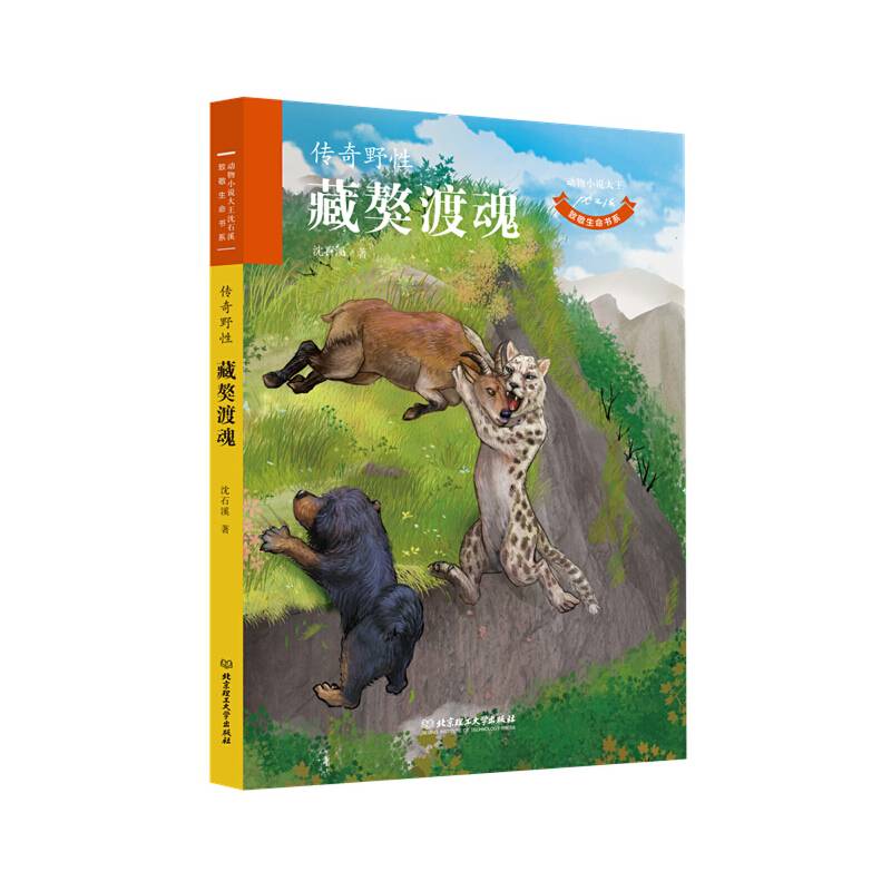 动物小说大王沈石溪・致敬生命书系――藏獒渡魂