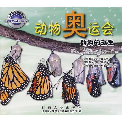 动物奥运会