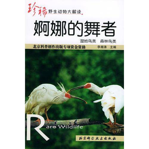 婀娜的舞者