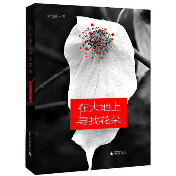 在大地上寻找花朵