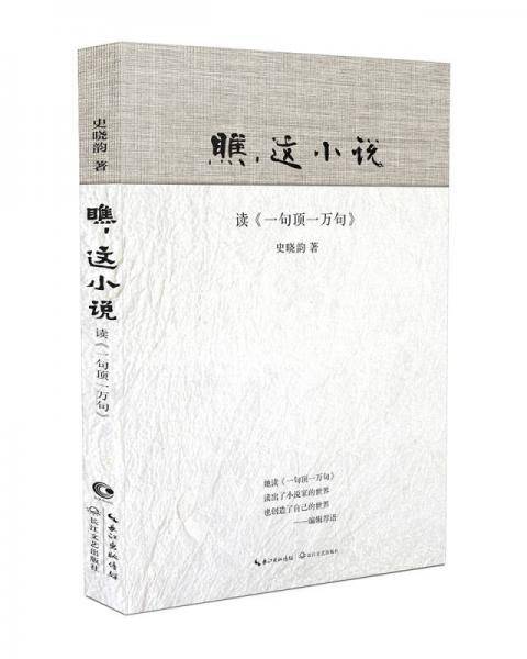 瞧，这小说