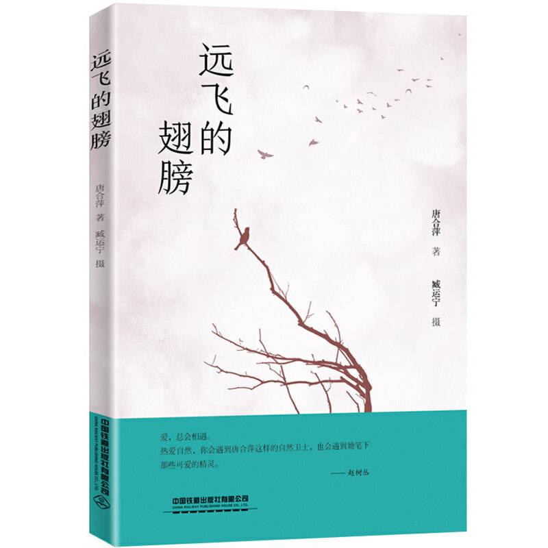 远飞的翅膀