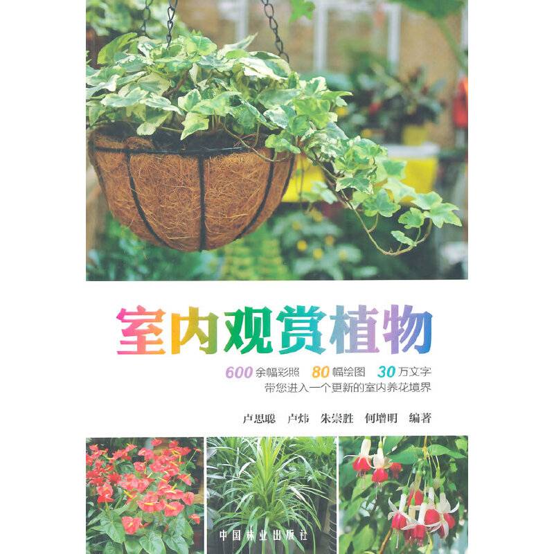 室内观赏植物