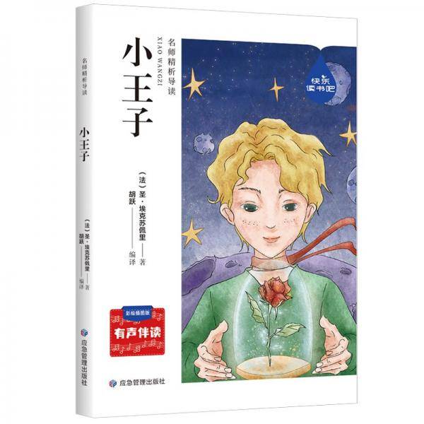 名师精析导读小王子
