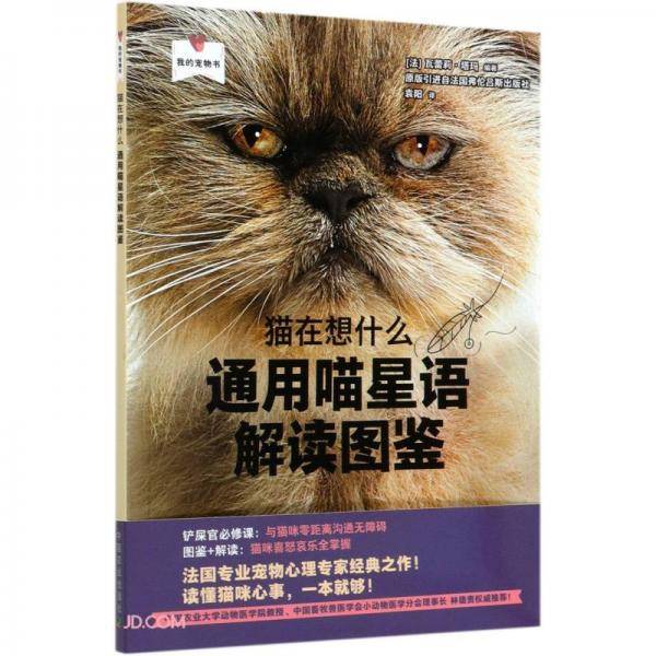 通用喵星语解读图鉴