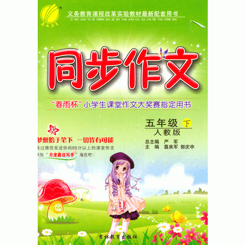(2017春)同步作文 五年级 下 人教版 RMJY