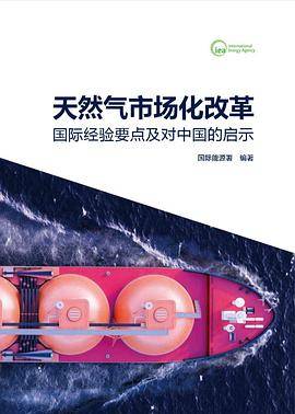天然气市场化改革：国际经验要点及对中国的启示