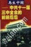 再生中国