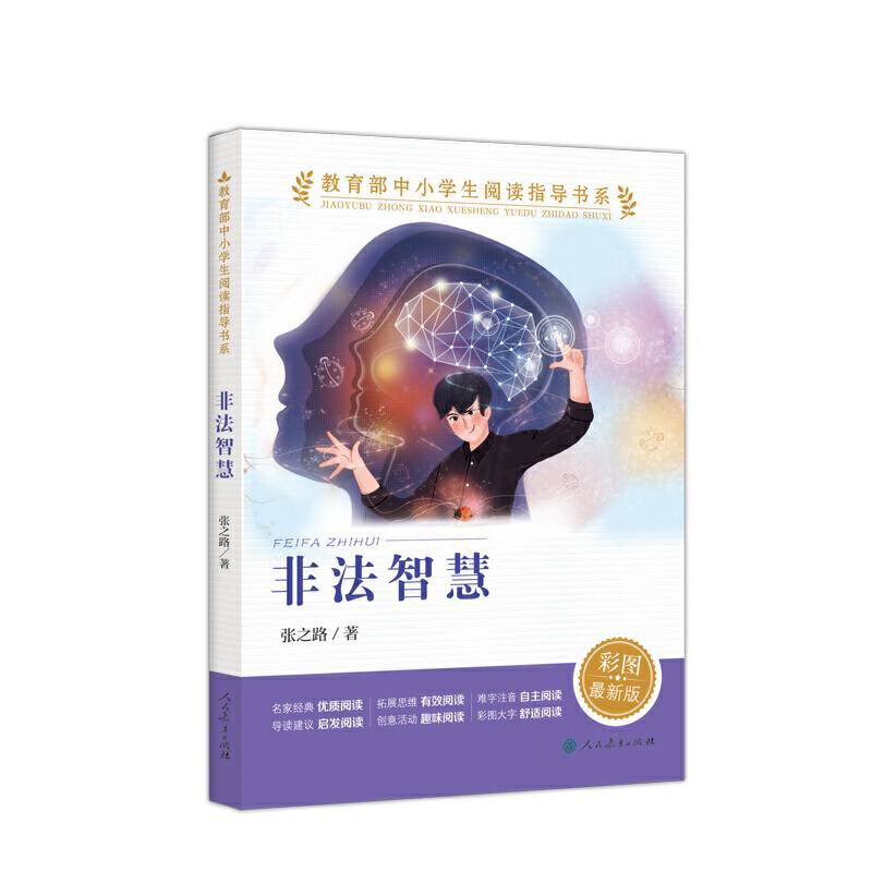 非法智慧