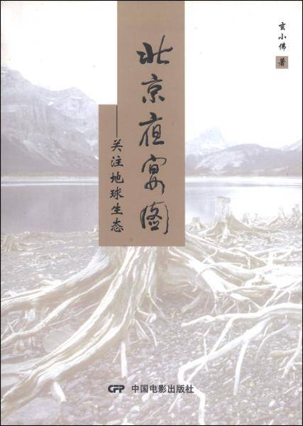 北京夜宴图