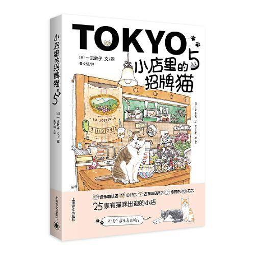 小店里的招牌猫5