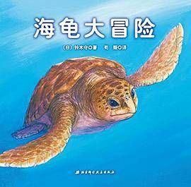神奇的迁徙之旅・海龟大冒险